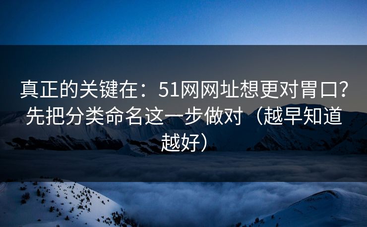 真正的关键在：51网网址想更对胃口？先把分类命名这一步做对（越早知道越好）