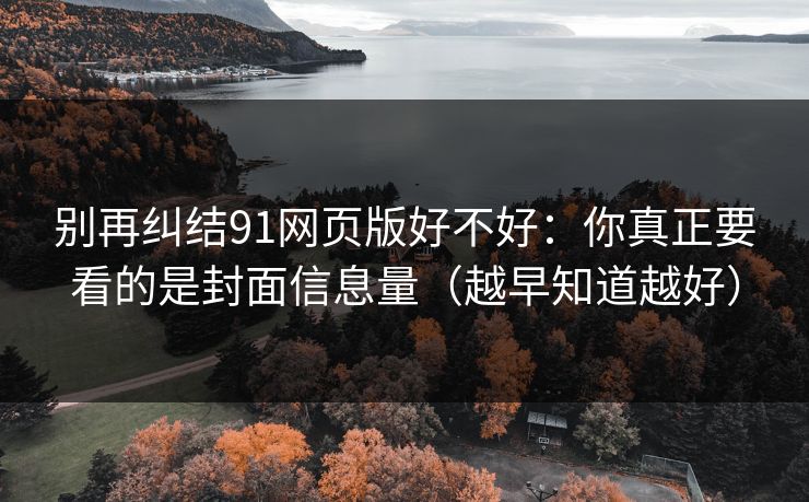 别再纠结91网页版好不好：你真正要看的是封面信息量（越早知道越好）